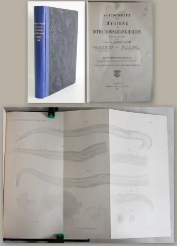 Koch Zeitschrift für Hygiene und Infektionskrankheiten Bd 59 1908 Medizin  xz