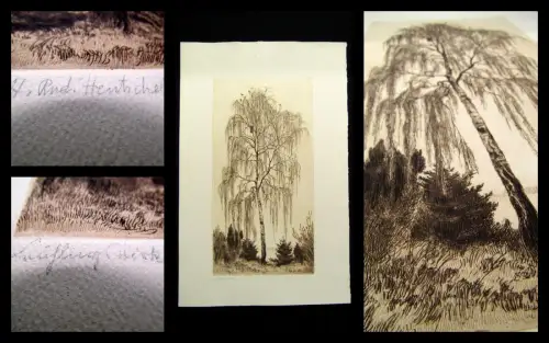 Hentschel Rudolph Hans ( 1869-1951)  Radierung "Frühlingsbirken" 1910-1920