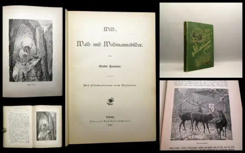 Hammer Wild-, Wald- und Weidmannsbilder 1891 Jagen Jäger Jagdgeschichten Hobby