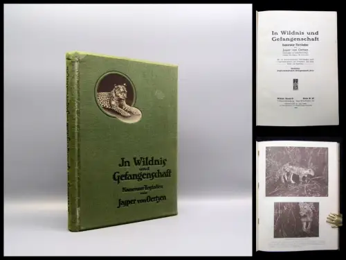 Oertzen In Wildnis und Gefangenschaft Kameruner Tierstudien 1913 Abenteuer