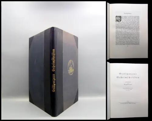 Sauer Grillparzers Geheimschriften 1922 auf 48 Tafeln Literatur Handschriften