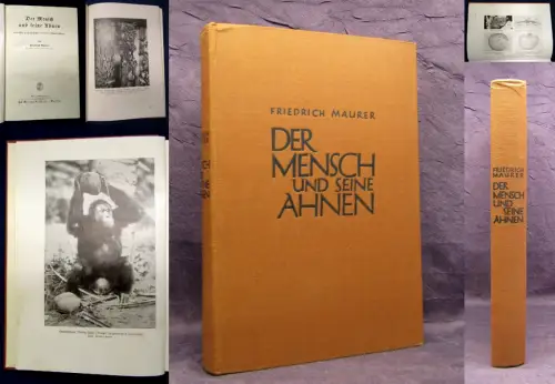 Maurer Der Mensch und seine Ahnen 1928 Naturforschung js