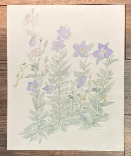 Meyer- Grabs Aquarell von Glockenblumen signiert unten rechts 1984