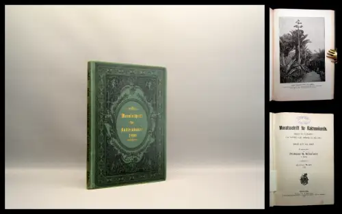 Schumann Arendt Monatsschrift für Kakteenkunde 1898 Achter Band Botanik