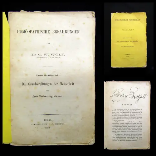 Wolf Homöopathische Erfahrungen Grundvergiftungen der Menschheit 1860 Heft 2-5