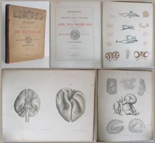 Festschrift zur 3. Saecularfeier der Alma Julia Maximiliana Würzburg 1882 - xz