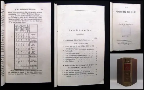 Schubert Die Geschichte der Seele 2 Bde. in 1 1830 Belletristik Literatur Roman