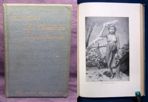 Haeckel aus Insulinde Malayische Reisebriefe Literatur Abbildungen 1901 js