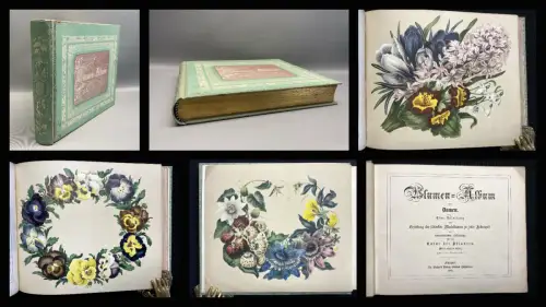 Blumen- Album für Damen 1865 8 Tafeln 19 Figuren im Text u 1 Skizze Garten Hobby