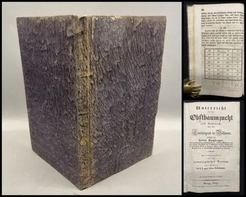 Bamberger Unterricht in der Obstbaumzucht für die Landjugend in Böhmen 1835