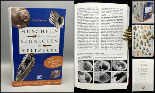 Lindner, Gert Muscheln und Schnecken der Weltmeere. Aussehen* Vorkommen* Systema