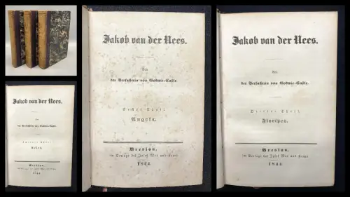 Paalzow Jakob von der Nees 3.Bde. Von der Verfasserin von Godwie- Castle 1844