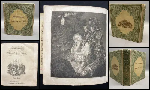 Lustwandlungen auf der Morgen- Aue des Lebens, zur Erheiterung 1.Bd. apart(von 2