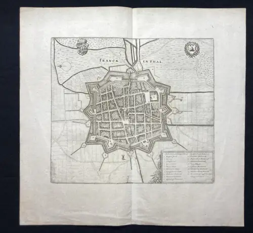 Merian Originaler Kupferstich von Merian- Franckenthal(Rheinland- Pfalz) 22x25cm
