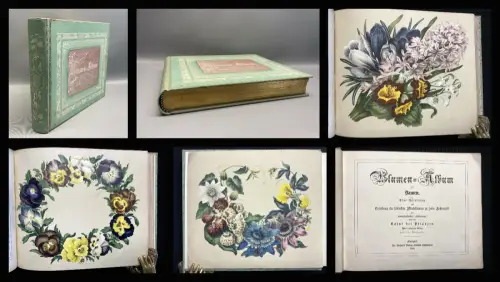 Blumen- Album für Damen 1865 8 Tafeln 19 Figuren im Text u 1 Skizze Garten Hobby