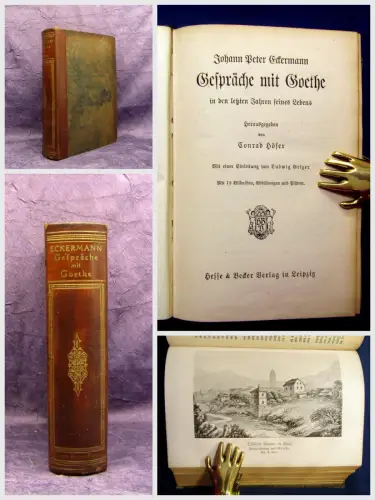 Eckermann Gespräche mit Goethe 1913 73 Bilder Abb. und Pläne Belletristik mb