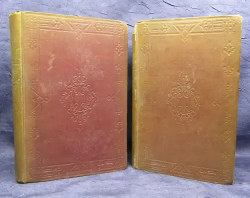 Lever The Dodd Family Abroad 2 Bde (von 3) Die Dood Familie im Ausland 1854  js 