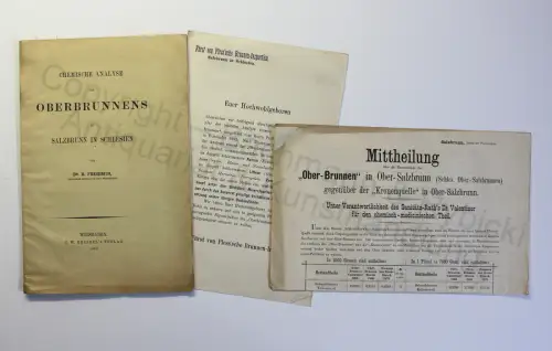 Fresenius Chemische Analyse des Oberbrunnens zu Salzbrunn Schlesien Polen 1882