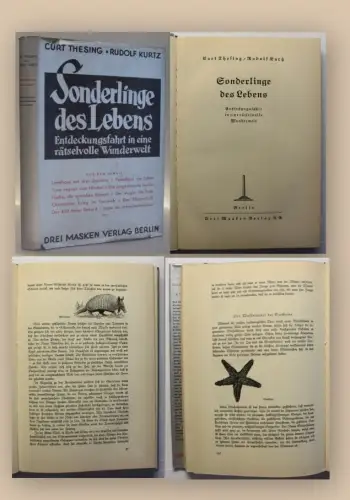 Thesing Sonderlinge des Lebens 1936 Entdeckungsfahrt Reisen Geografie Ortskunde