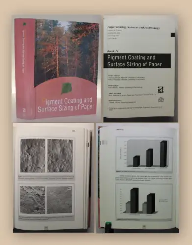 Lehtinen Pigment Coating and Surface Sizing of Paper Books 11 2000 Technik xy