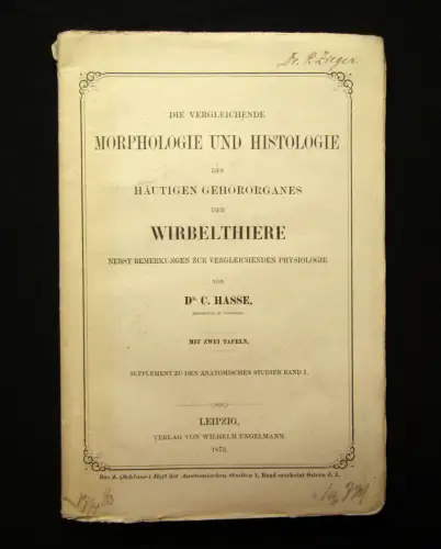 Hasse Morphologie u Histologie des häutigen Gehörorganes d. Wirbelthiere 1873 mb