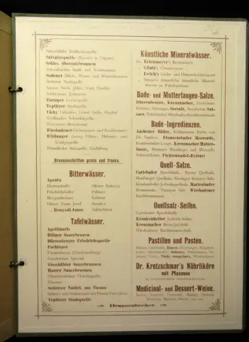 Documenten -Mappe Jugendstil um 1900 Gewidmet von Samuel Ritter Inh.Paul Röhre