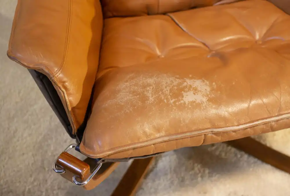 FALCON CHAIR 70er Jahre Designsessel von Sigurd Ressel 2