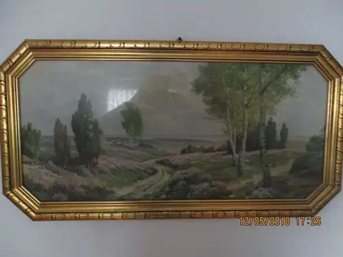 Altes landschaftbild,original rahmen,Heide
87,5 cm breit ,45,5 hoch