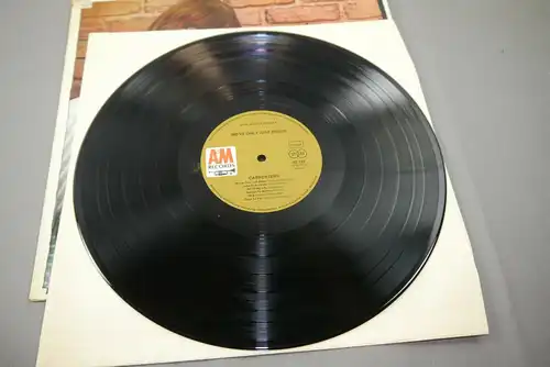 Carpenters We´ve only just begun  Schallplatte  LP sehr gut    (WR1)