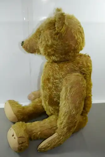 Bing ?  Teddy Bär 20er Jahre Hellbraun hintermalte Glasaugen ca. 68cm (K7 )