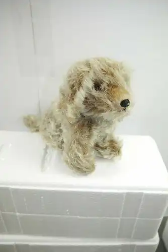 Grizly Teddy Hund ca.10cm   50/60 J.   K22