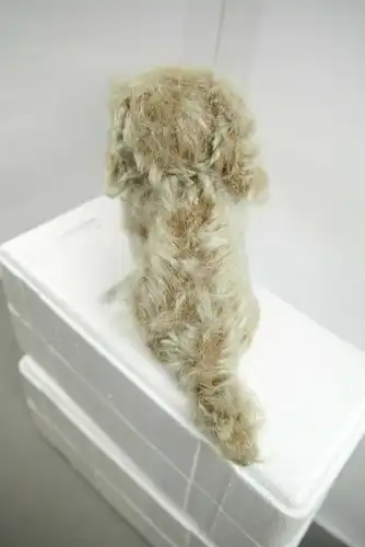 Grizly Teddy Hund ca.10cm   50/60 J.   K22