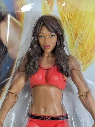 WWE #13  Alicia Fox ca. 17cm  Actionfigur Mattel CJB62   K35