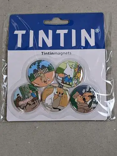 TIM STRUPPI Tintin Magnet: Set mit 5 Magneten des Schloss Mühlenhof