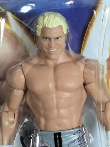 WWE #54 Dolph Ziggler   ca. 17cm  Actionfigur Mattel BHM27   K1