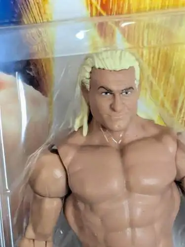 WWE Dolph Ziggler  Actionfigur Mattel CJC58 K23