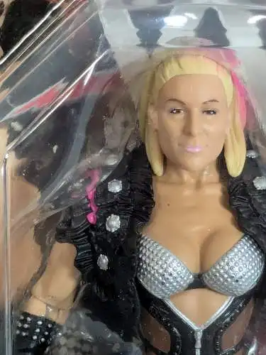 WWE  Divas Natalya 16cm Mattel DJR25  K37