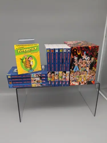 Manga One Piece Band 71-80  im Schuber Z 1+  Carlsen B12