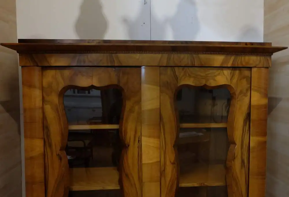 Vitrine/Bücherschrank 2