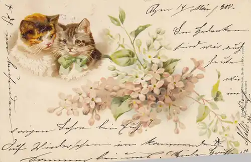 [Lithographie] Lith.Artist.Anstalt München Serie 74 No.20088. 