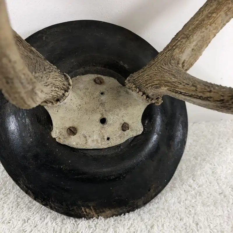 Antikes Hirschgeweih - 10-Ender 1