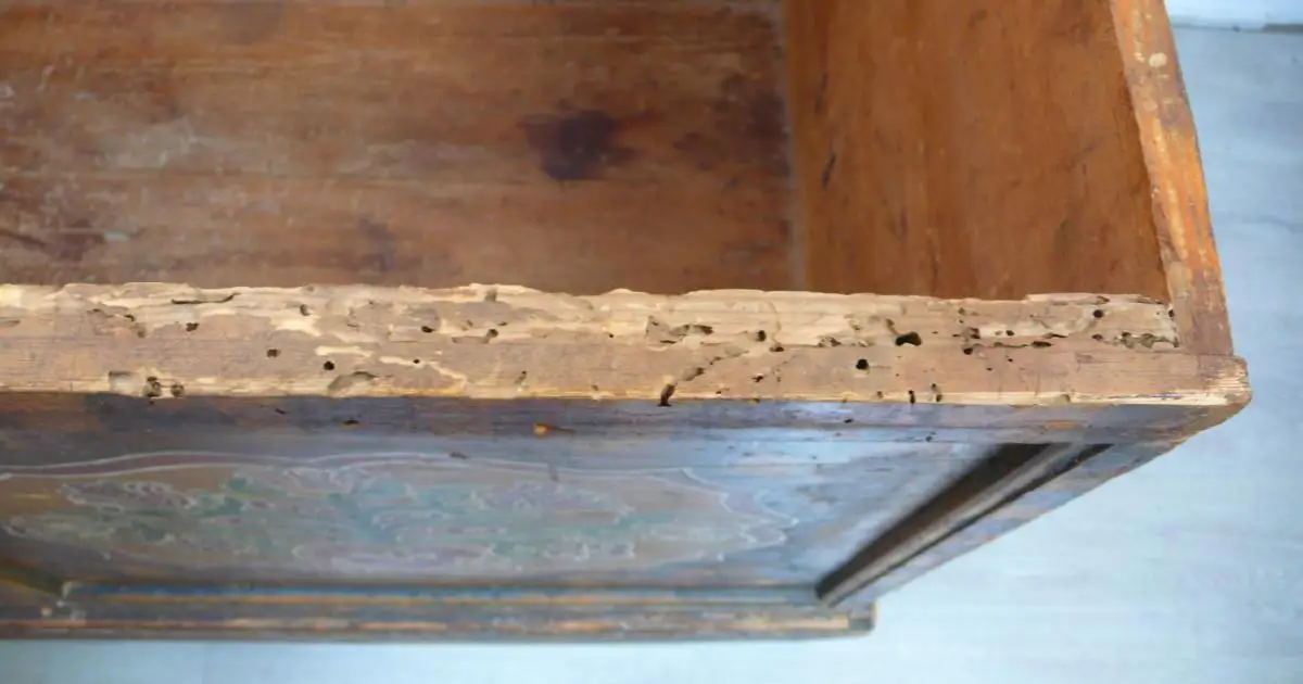 Sehr große antike Holztruhe Aussteuertruhe von 1757 Flachdeckel original unrestaurierter Zustand Florale Handbemalung 6