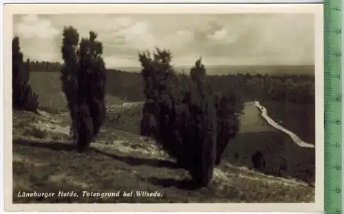 Lüneburger Heide, Totengrund bei Wilsede um 1940/1950    Verlag: Heinrich Kühne, Bremen  POSTKARTE Erhaltung: I-II,  Kar