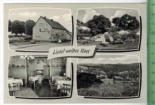 Hohegeiß/Hochharz, Hotel „Weißes Roß“ um 1960/1970    Verlag: Erich Farbowski, Bad Lauterberg  POSTKARTE Erhaltung: I-II