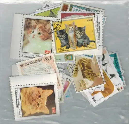 50 x Briefmarken, Hauskatzen Zustand: I-II