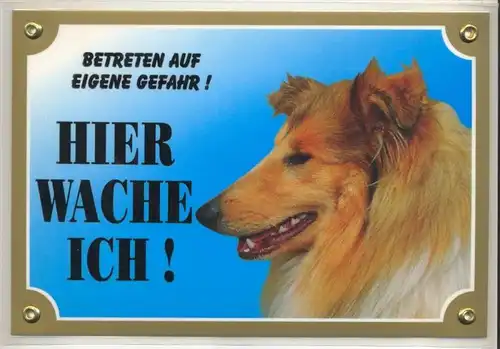 Hunde – Warnschilder COLLIE 21 x 14,5 cm, laminiert Zustand: Neu