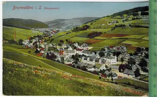 Brunndöbra i. S. Hauptansicht,  Verlag: Löffler & Co., Greiz, Postkarte, Erhaltung: I-II, unbenutzt,