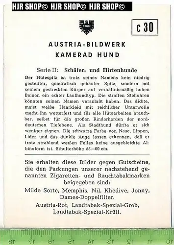 Der Hütespitz, c 30 Austria-Bildwerk, Kamerad Hund, Serie II: Schäfer und Hirtenhunde.