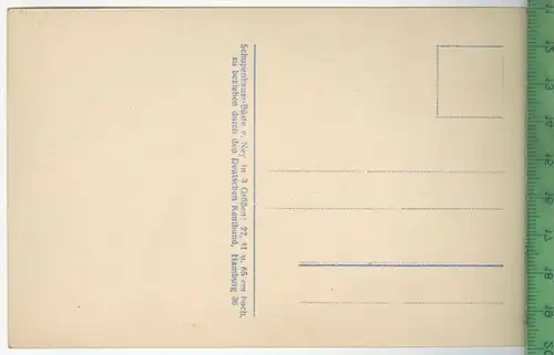 Schopenhauer, Verlag:  -----,  Postkarte, unbenutzte Karte, Erhaltung: I-II, Karte wird in Klarsichthülle verschickt.(H)