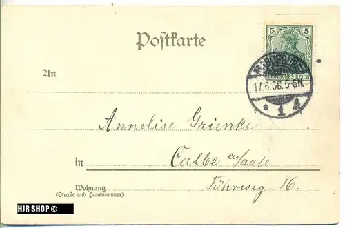 um 1900/1910 Ansichtskarte Blütenzweig